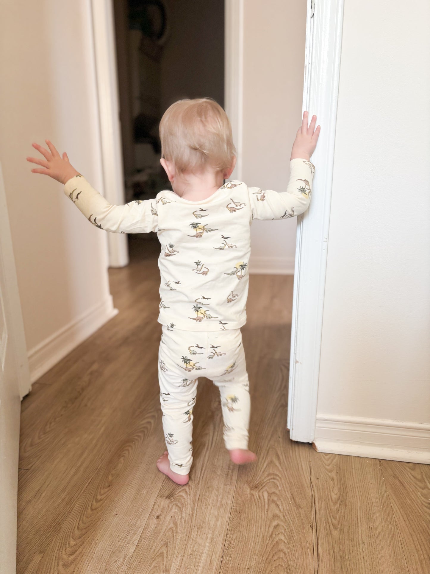Long Sleeve Pajamas - Dino Print